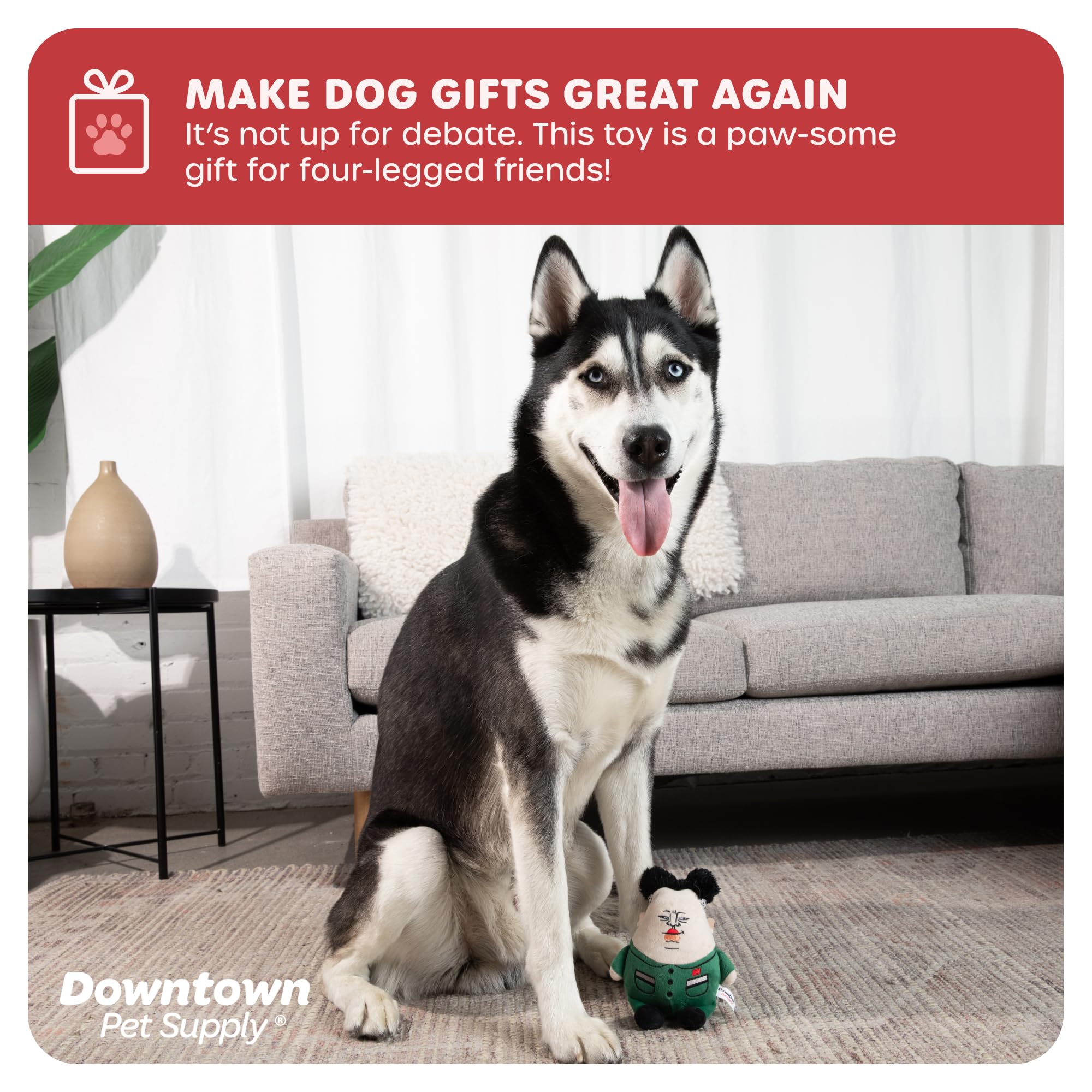 Pet Supplies : Downtown Pet Supply Supreme Leasher Political Dog