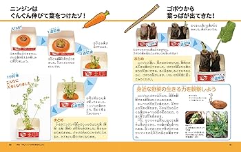 【希少品・美品】週刊朝日百科　世界の食べ物 週刊朝日百科「世界の食べもの」 | 食と暮らしの古本屋＊eclipse
