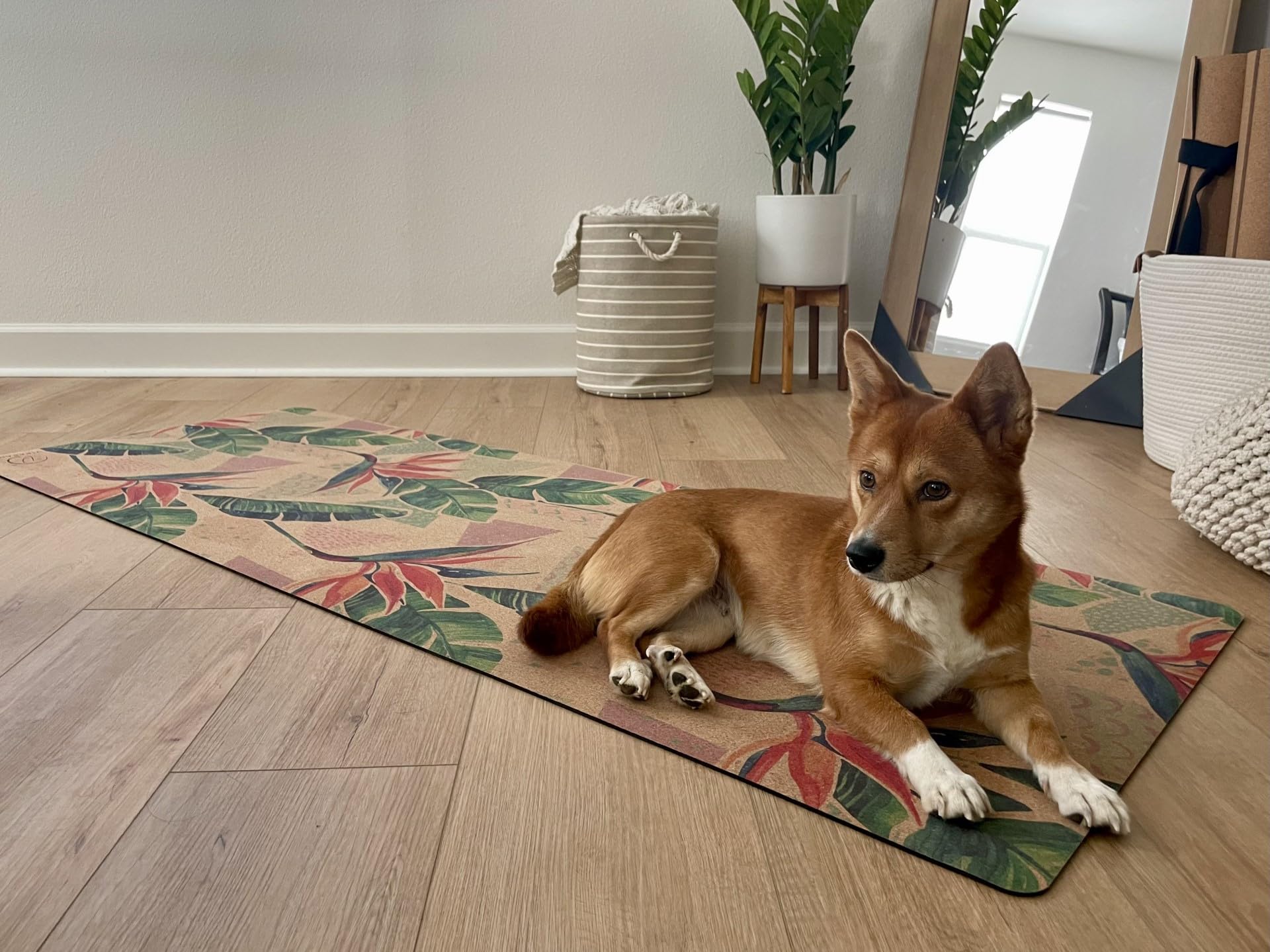 Eco-Friendly, Non-Toxic Cork Yoga Mat. Sweat Resistant, Non-Slip Flat Mat. Ideal for Hot Yoga, Bikram, Vinyasa, Power, Pilates, HIIT Workouts. (72