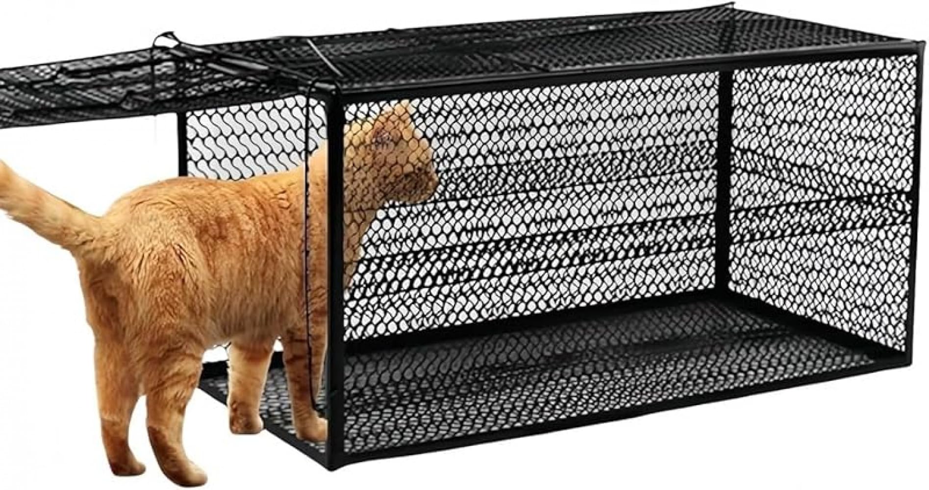 猫用アニマルキャッチャー捕獲器 楽天市場】捕獲器 猫 ネコ 犬 捕獲機 猫 捕獲器 アニマルキャッチャー