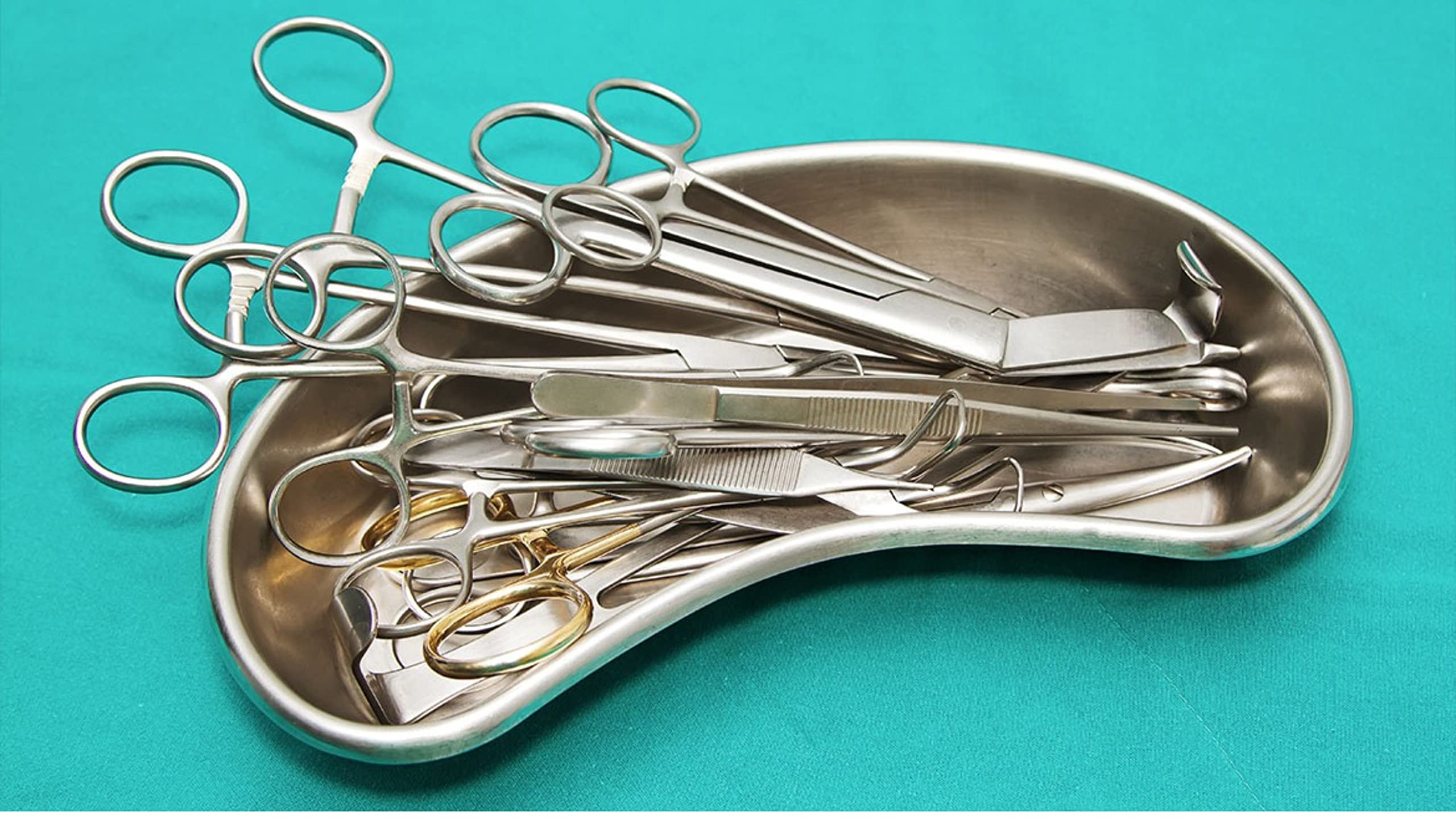 Bosky Nierenschale aus Edelstahl, Größe XL, 30,5 cm, Emesis-Becken, 1,2 l, wiederverwendbar, Metall, nierenförmig