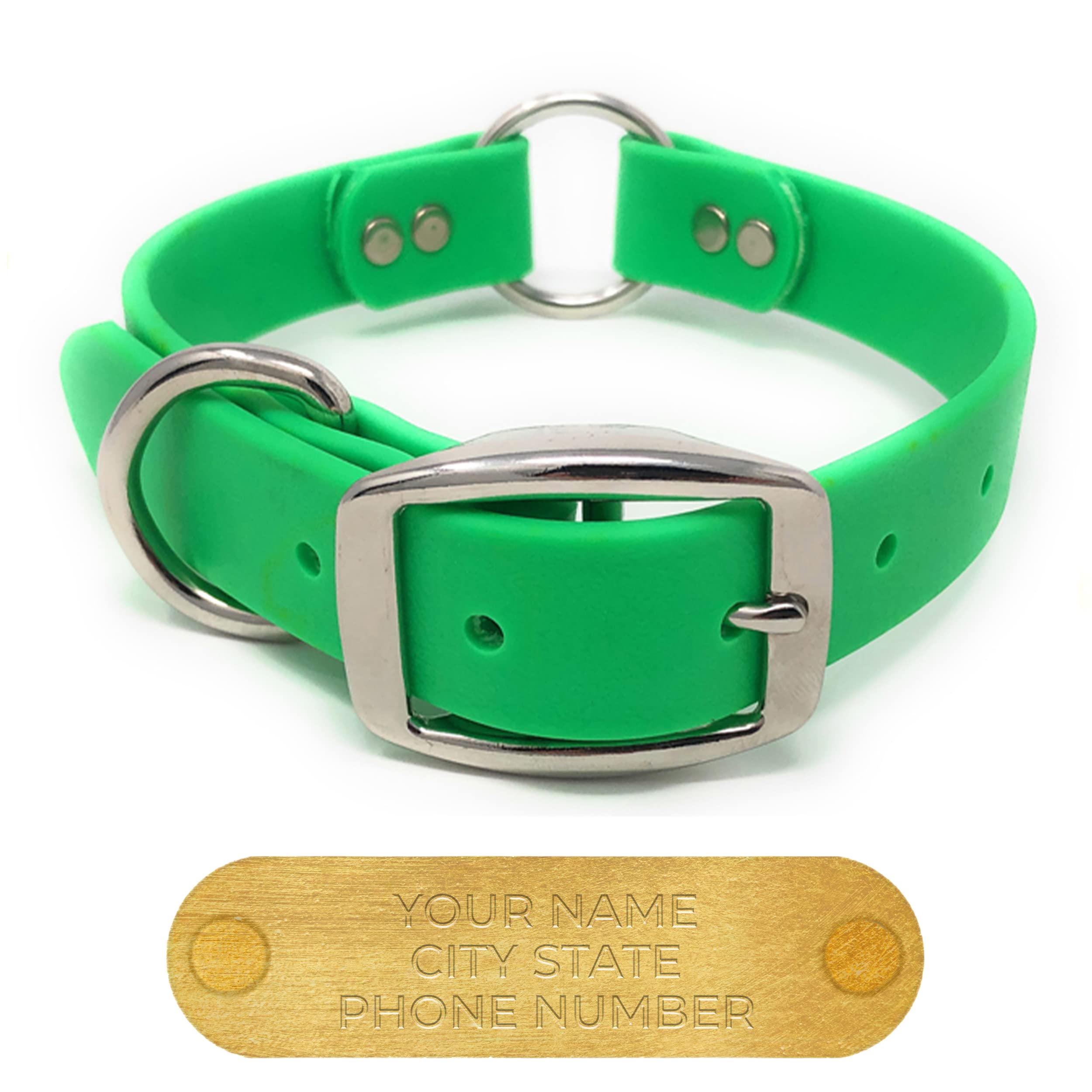 Regal Dog Products Small Light Green Dog Collar with Custom Engraved Name Plate - Custom Fit, Resistant Easy to Clean Biothane Waterproof