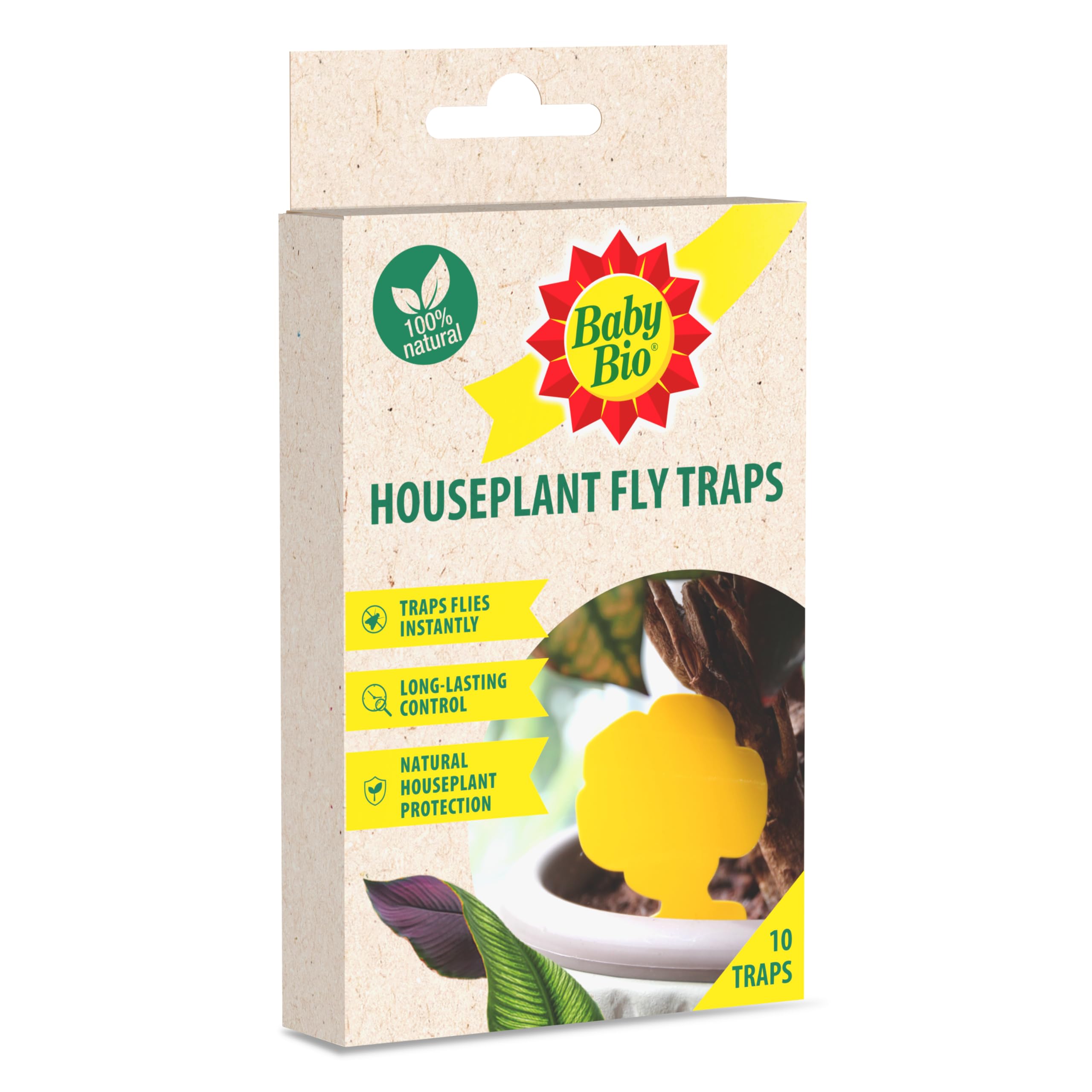 Baby Bio Fungus Gnat Sticky Traps for Houseplants – Yellow Sticky Traps for Flies, Aphids & Leaf Miners – Pesticide Free, Child & Pet Safe – Long‑Lasting (Lasts for Weeks), 10 Pack