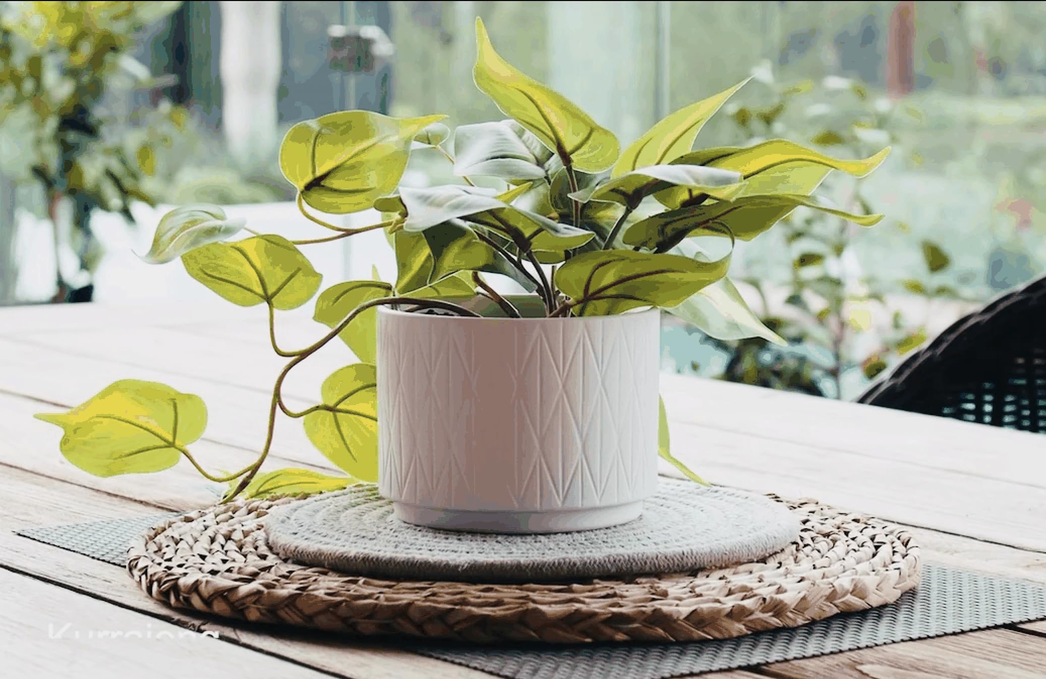 Kurrajong Farmhouse Knstliche Pothos-Pflanze, knstliche Pflanze fr  Regaldekoration, 35,6 cm, knstliche Efeu-Pflanze mit 12,7 cm breitem  Keramiktopf, hellgrne Efeu-Pflanze, Feaux-Efeu-Pflanze : Amazon.de: Kche,  Haushalt & Wohnen