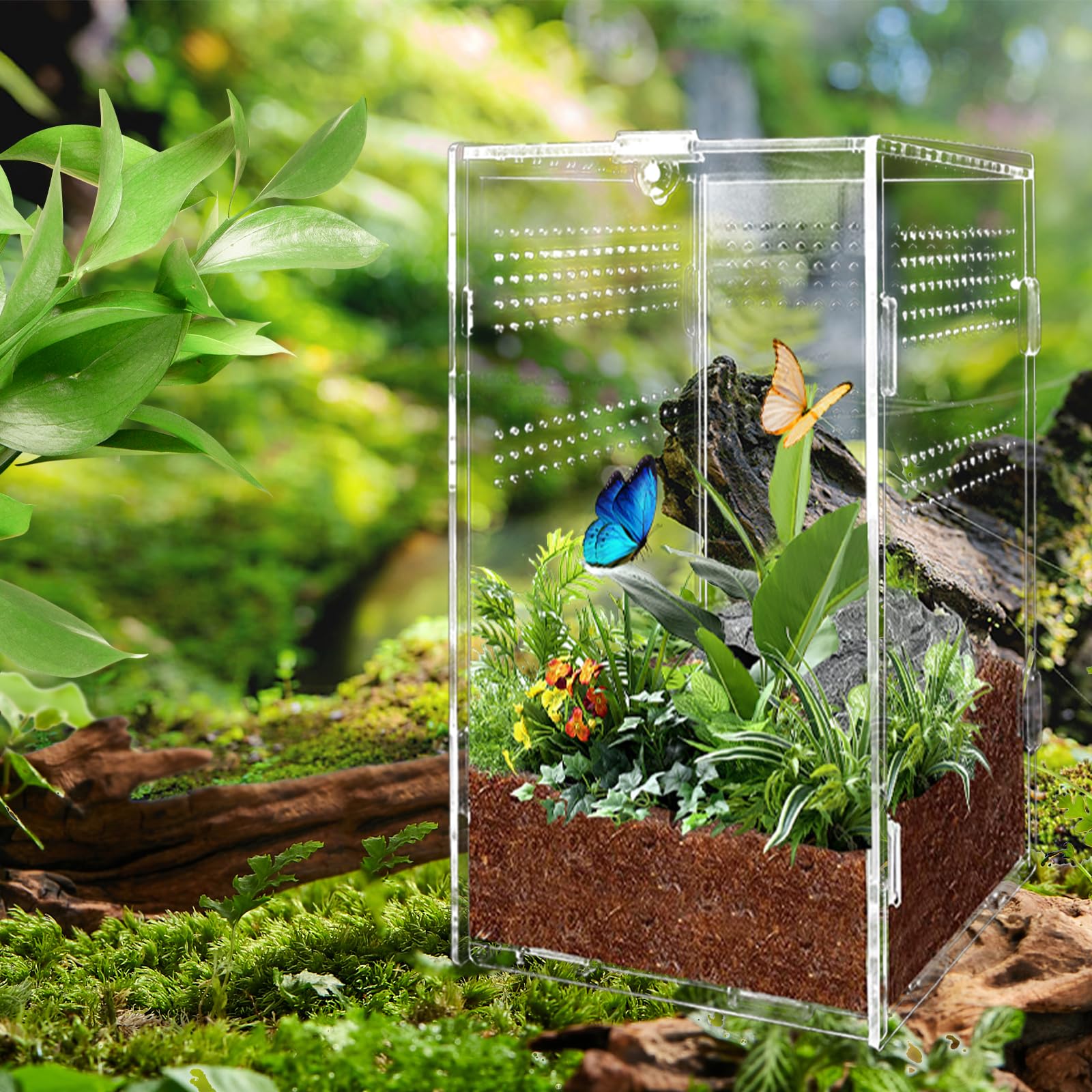 Boîte d'alimentation d'insectes, 12x12x20cm Transparent Boîte d'élevage en Acrylique pour Reptiles, avec Trous d'air, pour Araignées, Grenouilles Cornues, Coléoptères, Lézard et Autres Reptiles