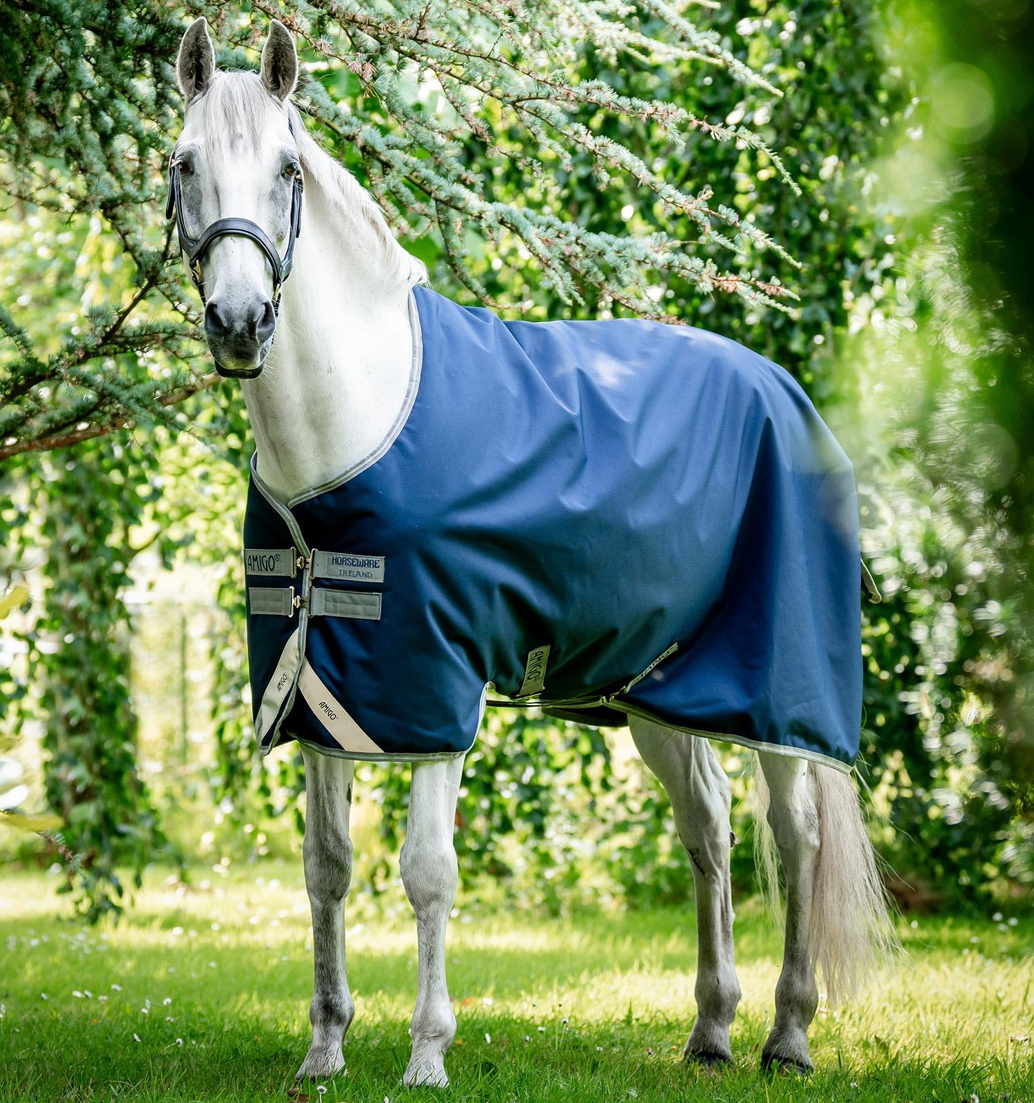 Manta Amigo Bravo 12 de Horseware con aislamiento ligero de 100g y durabilidad extrema