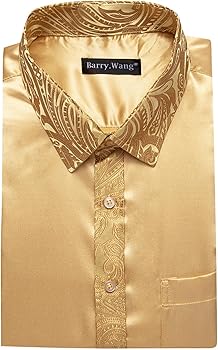 Amazon.com: Barry.Wang Gold Men Satin Silk Shirt Long Sleeve Designer Dress  Shirt Shiny Untucked Casual Button Down Shirt Party Disco Formal :  Clothing, Shoes & Jewelry