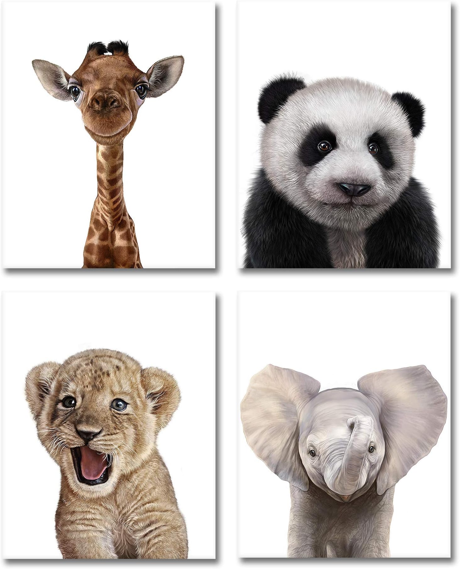 deenor Set of 4 Baby Animal Prints | 8x10 Portraits Include: Panda, Elephant, Giraffe, Lion | Baby Nursery Decor, Wall Prints, Nursery Art, Nursery Decor, Baby Kids Room, Wall Art | UNFRAMED