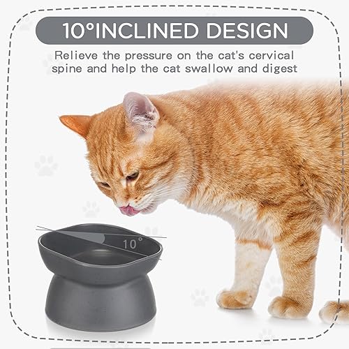 Miniatura 3 de 4 cuencos elevados de plástico inclinados para gatos, cuencos elevados de comida para gatos, cuenco de agua para gatos, plato elevado de