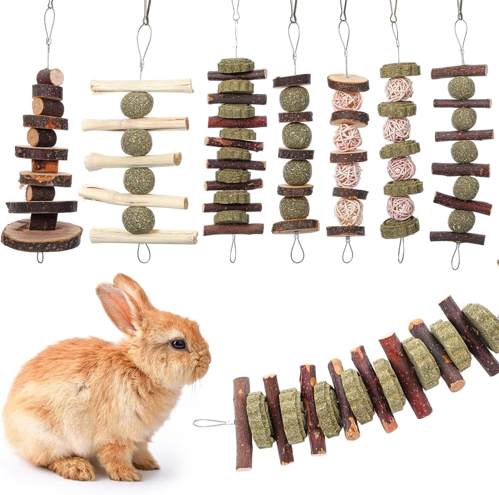 Hanging Guinea Pig Toy