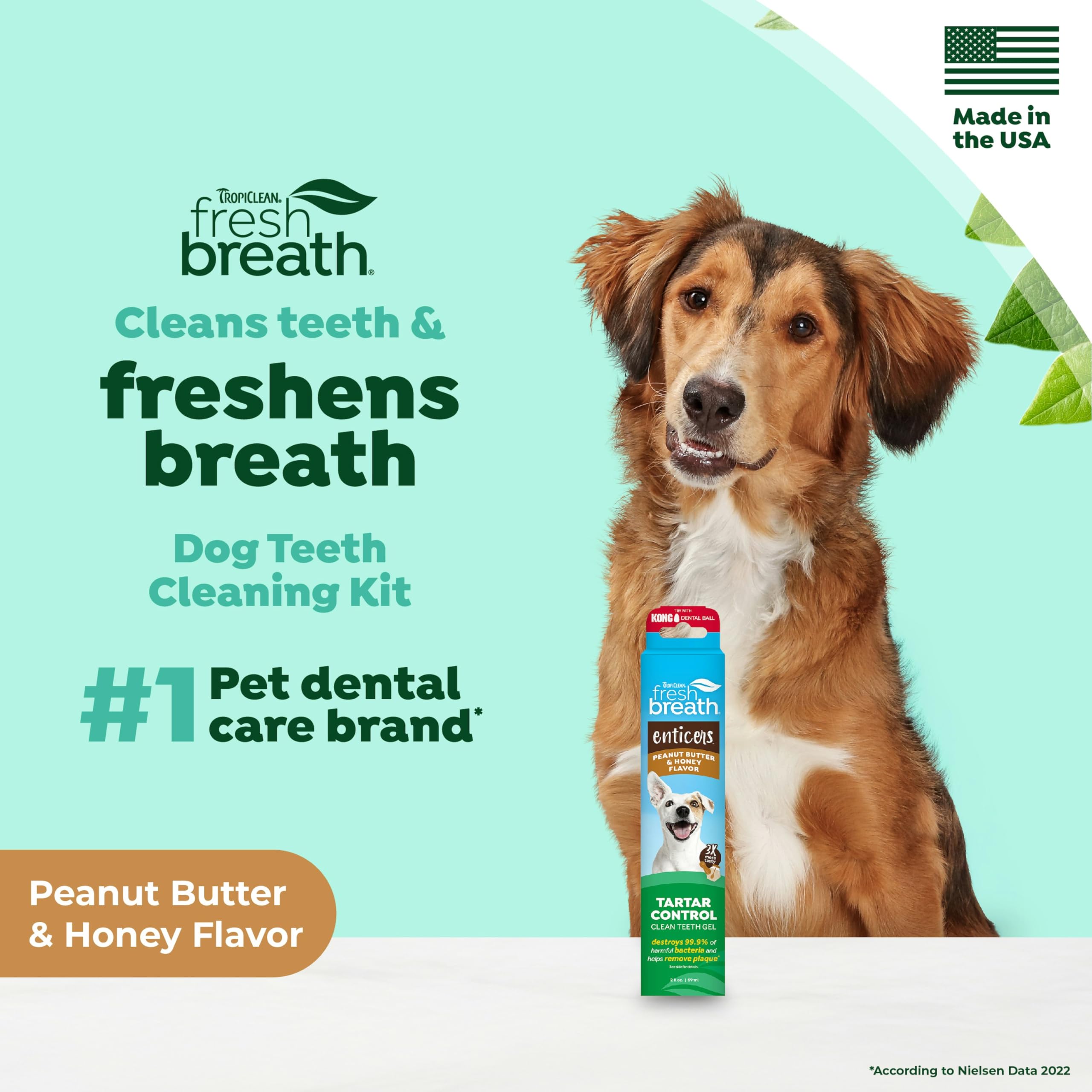TropiClean Fresh Breath - Dog Toothpaste - Dog Teeth Cleaning Peanut Butter & Honey Flavor - Freshens Breath and Cleans Teeth - 2oz