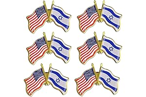 American and Israel Flag Pin
