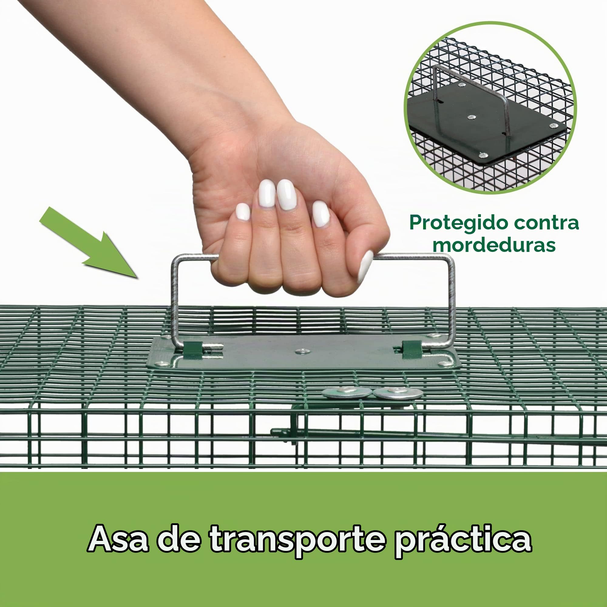 Moorland Trampa Viva XXL para martas con 2 entradas Reutilizable Caja Gatos | 100x25x25cm de animales para zorros estable y respetuosa ratas jaula captura Safe 5007