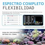 Ver la foto 2