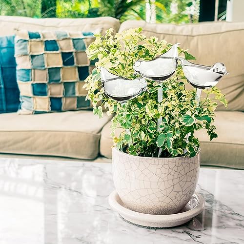 Miniatura 6 de Pájaros de vidrio duraderos, globos de riego para plantas, pajitas de riego automático, paquete de 3 regalos para jardineros, bombillas de riego de