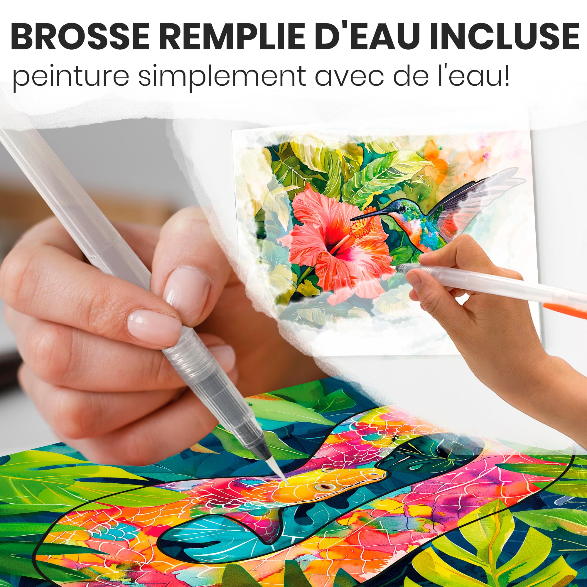 Kit de Loisirs Créatifs Personnes con Démence - Activité Manuelle Adulte | 10 Activités Peintures à l’Eau pour Alzheimer Seniors - Manuelle Adulte avec Faune des Tropiques - Jeux Cognitifs Alzheimer