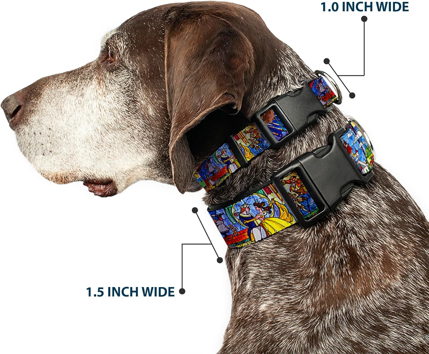 Buckle-Down Plastic Clip Collar - Beauty & the Beast Stained Glass Scenes - 1.5" Wide - Fits 18-32" Neck - Large