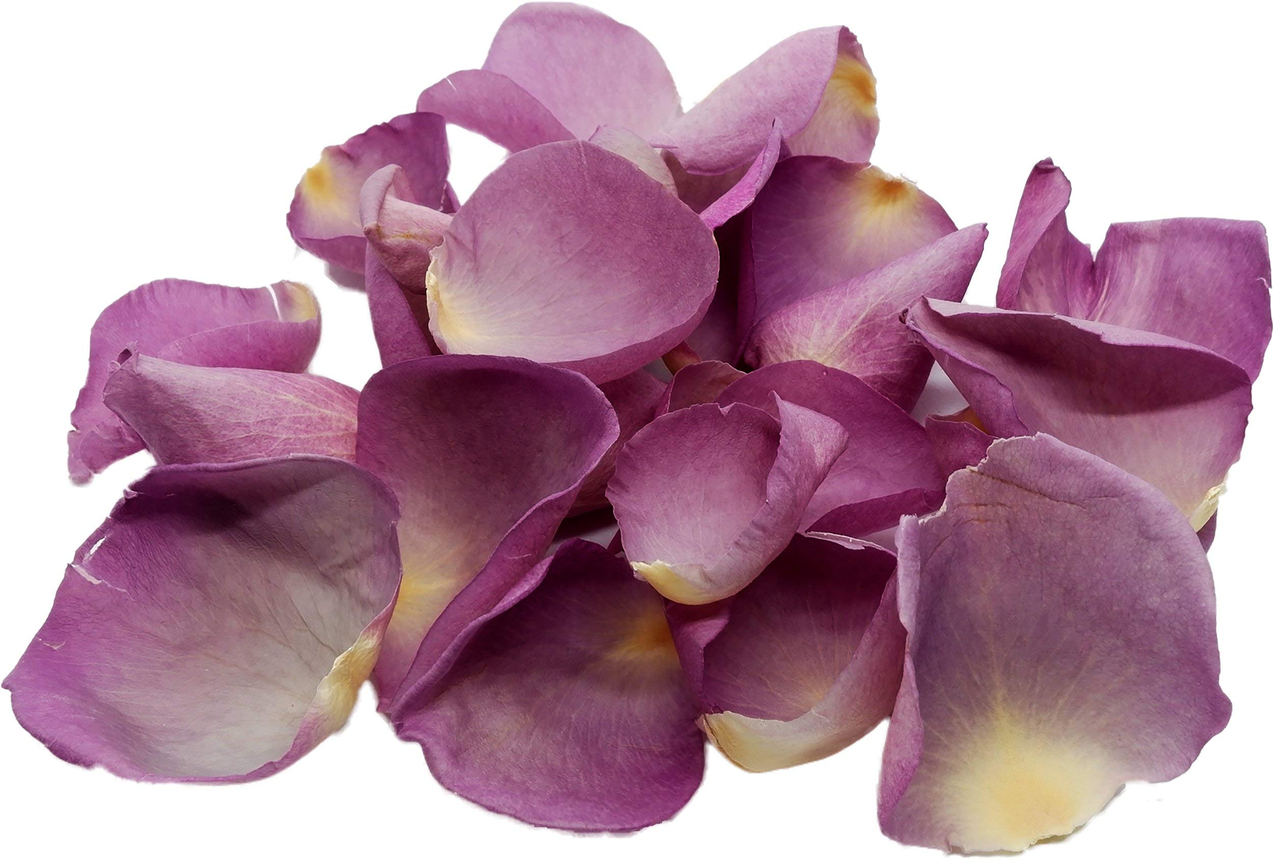 Pétales de rose mauve pour sublimer vos desserts et apéritifs