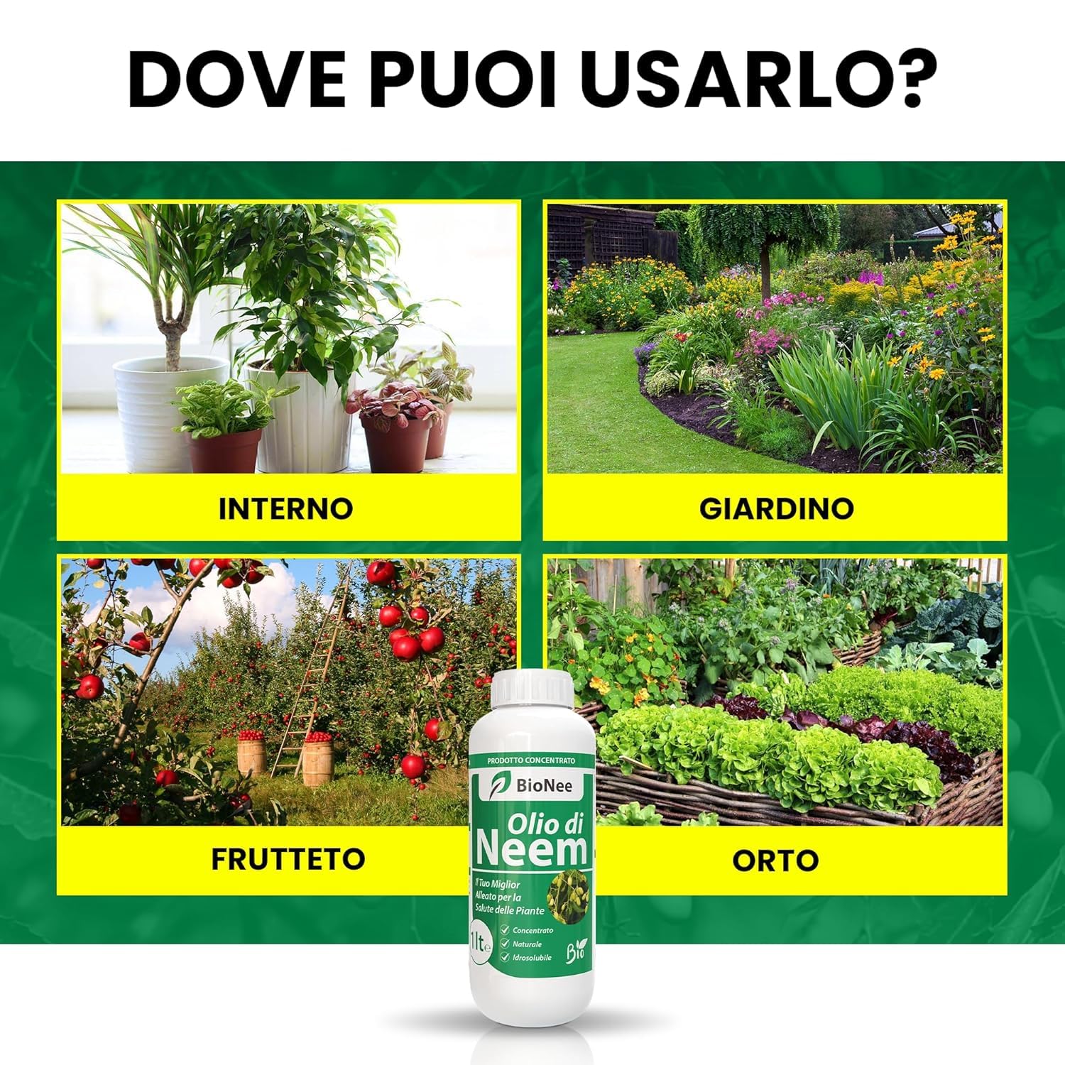 Olio di Neem insetticida naturale concentrato biologico solubile in acqua 1 litro