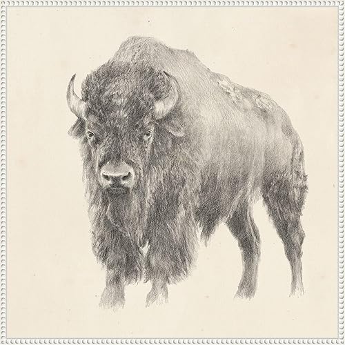 Miniatura 10 de Amanti Art Lienzo enmarcado para pared, 22 x 22 pulgadas, estudio de bisonte occidental por Ethan Harper, lienzo enmarcado para pared, obras de arte