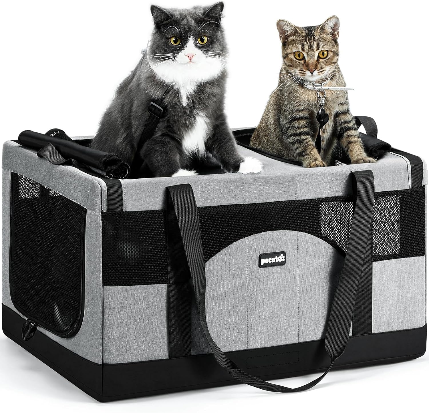 Pecute Dual Cat Carrier with Steel Frame, Removable Divider & Breathable Mesh