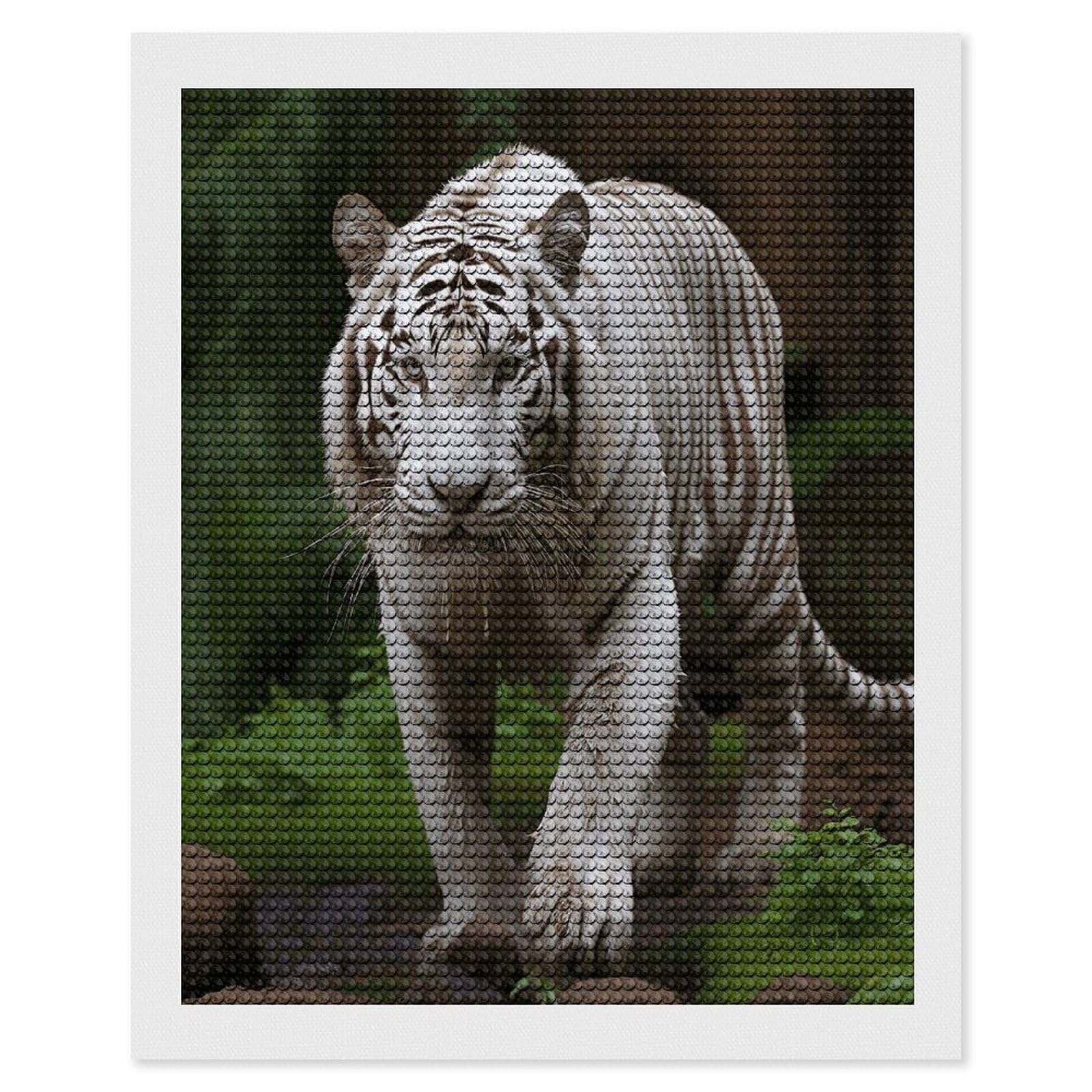 VstaDank Majestic White Bengal Tiger Diamond Painting Kits Exquisite DIY Full Round Drill Diamond Dots Painting for Adults Beginner Diamond Photo Paint with Diamond Picture Art Wall Decor 16"x20"
