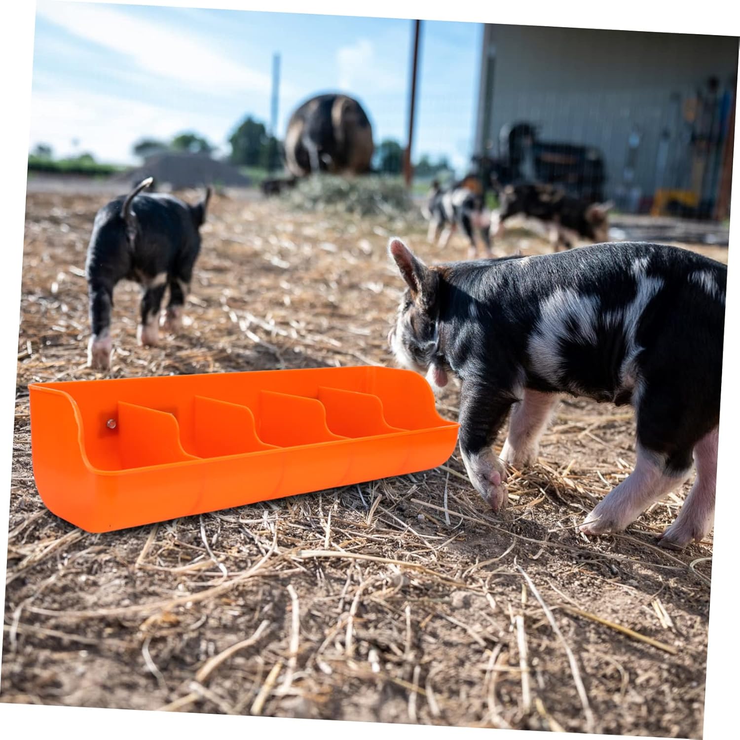 Yardwe Piggy Trough Vessel Tools Ferret Playpen Bunny Feeder Ferret Feeder Plastic Chicken Feeder Piglet Water Feeder Piglet Feed Dispenser Livestock Manger Livestock Feeding Manger Suite