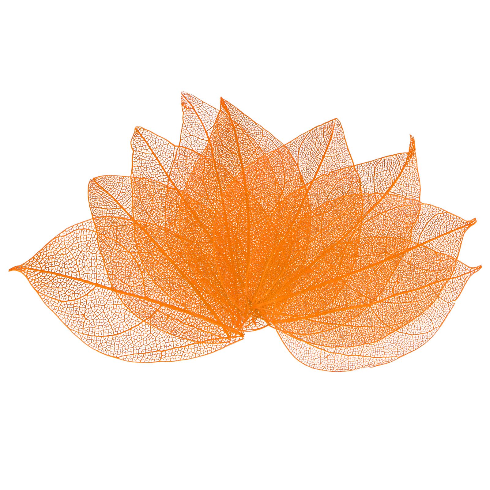 M METERXITY 200-Pack Skeleton Leaves, Natural Rubber Tree Dried Pressed Leaves Vein for Resin/DIY Crafts Card/Scrapbook/Wedding, Small Leaves Decorative [4-6cm, Orange] — image 1