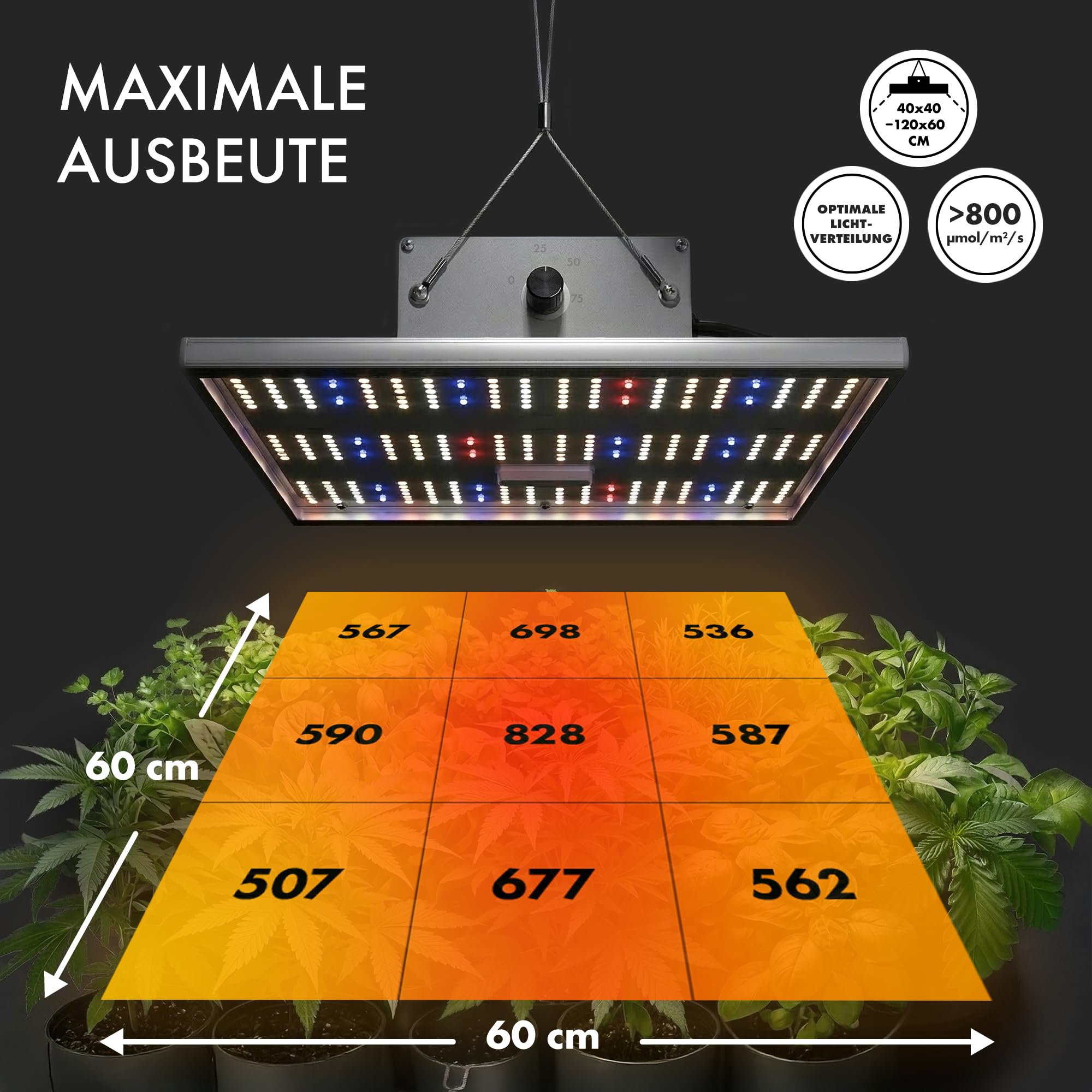 Caluma LED Grow Lampe Force 75 W – Vollspektrum Pflanzenlampe mit echten 2,7 µmol/J – für Wachstum & Blüte – leise, effizient, Plug & Play – ideal für 40×40 cm bis 120×60 cm' ändern