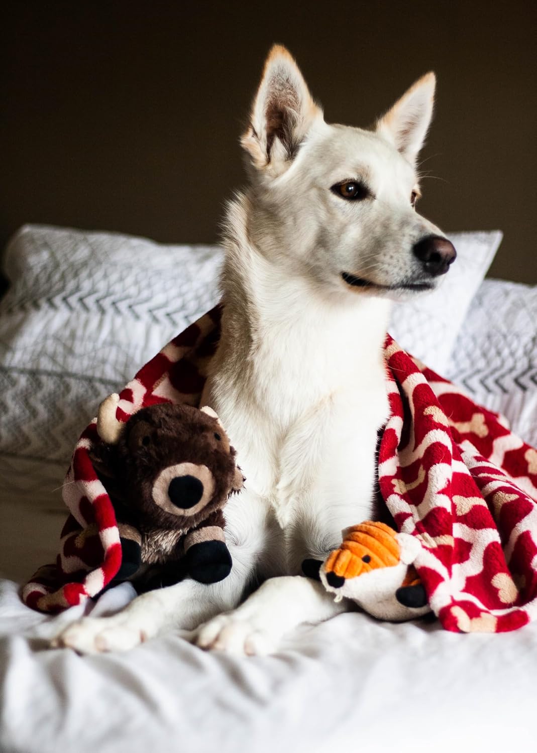 Tall Tails Fox with Squeaker Toy for Dogs