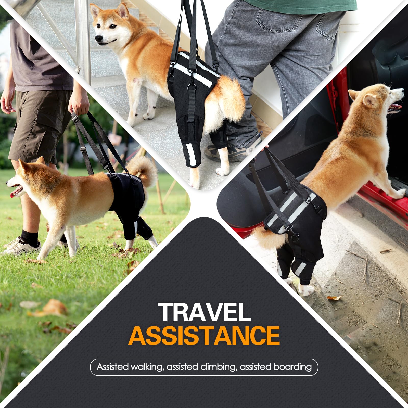 Arnés de elevación para perros, soporte de cadera para displasia de cadera, arnés de soporte para mascotas para patas traseras para perros pequeños y medianos, talla M