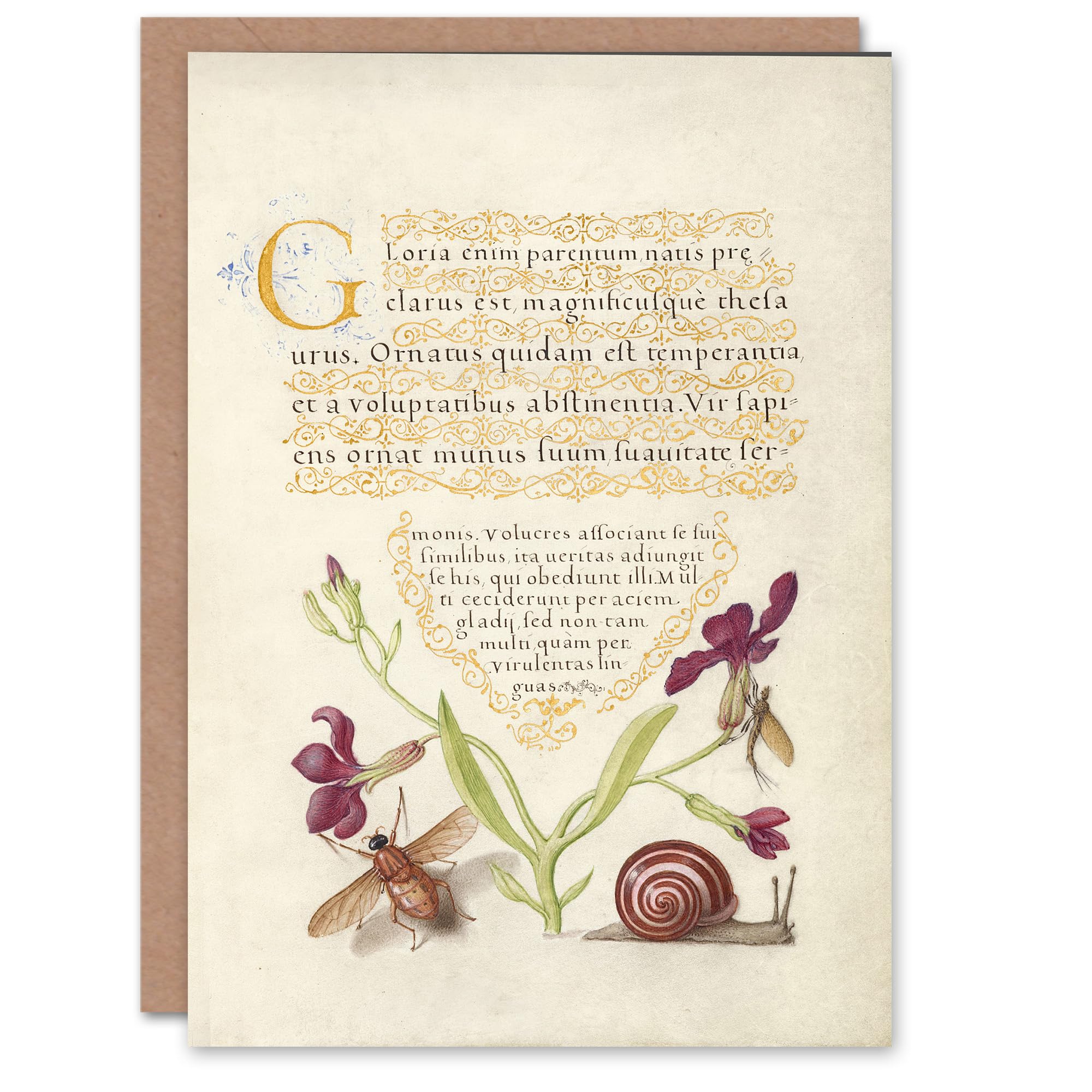 Artery8 Model Book of Calligraphy Art Card Gillyflower Fly Mayfly and Snail