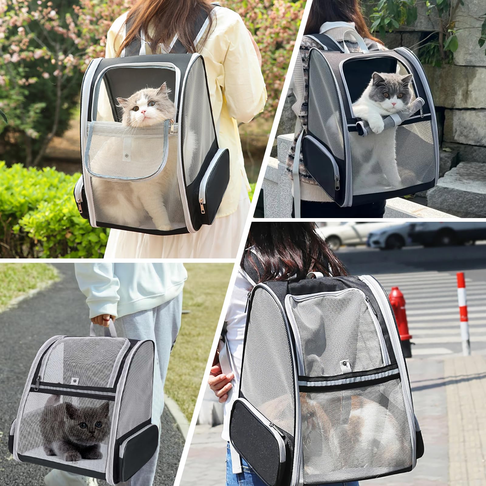 Bordeag Sac Transport Chat, Sac De Transport, Sac À Dos De Transport pour Chat Sac À Dos pour Chat Sac Dos pour Animal De Compagnie pour Voyage