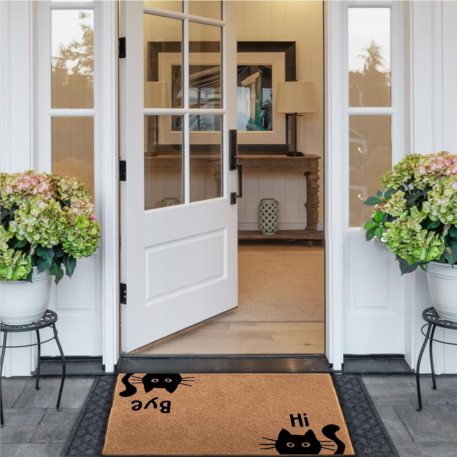 Funny Welcome Door Mat Hi Bye Cat, Outdoor Entrance Mat with Humorous Saying 30x18, Non Slip Rubber Back, Front Porch Decor, Gift for Home, Friends, Family