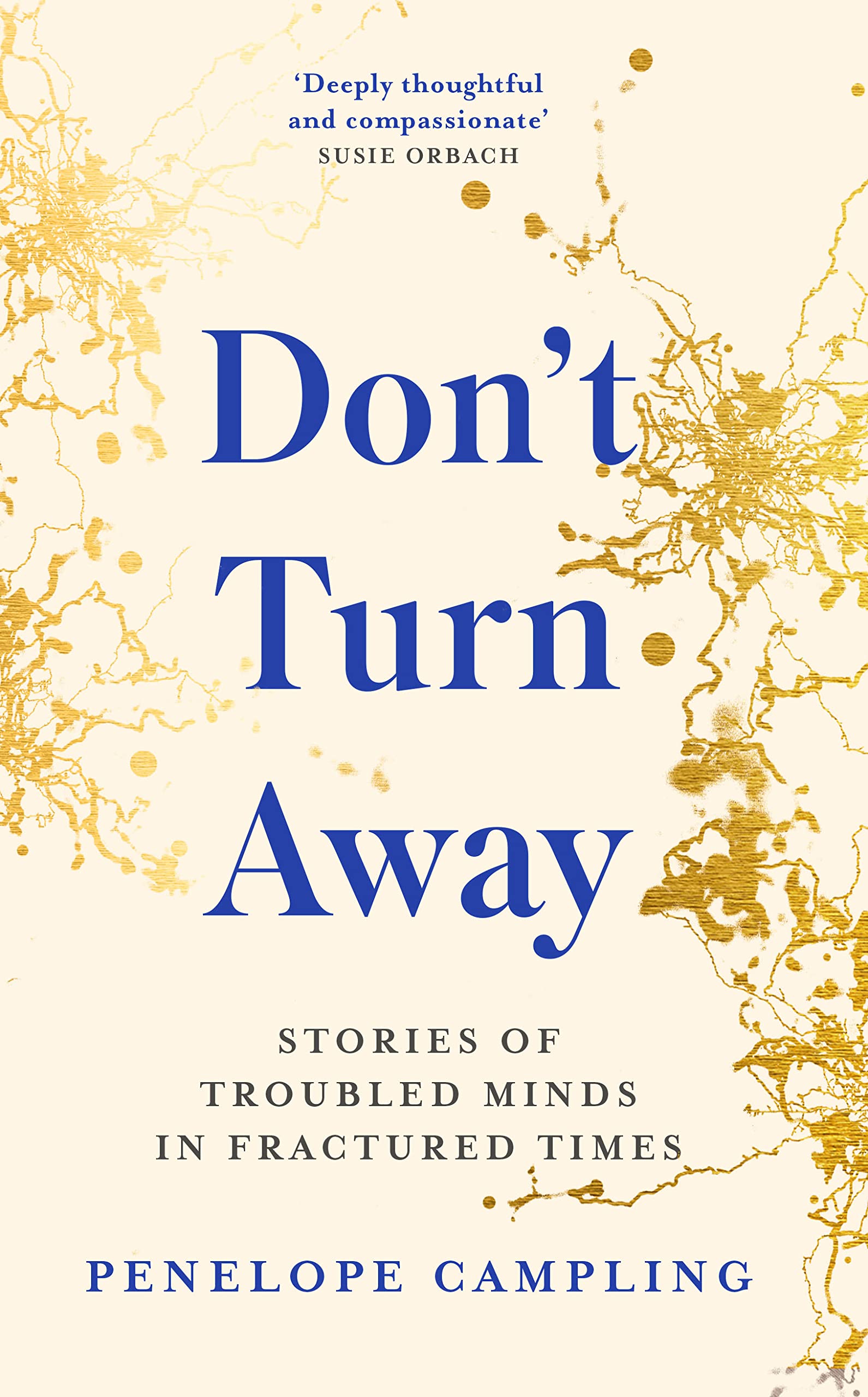 Don't Turn Away by Penelope Campling (Hardback Book)