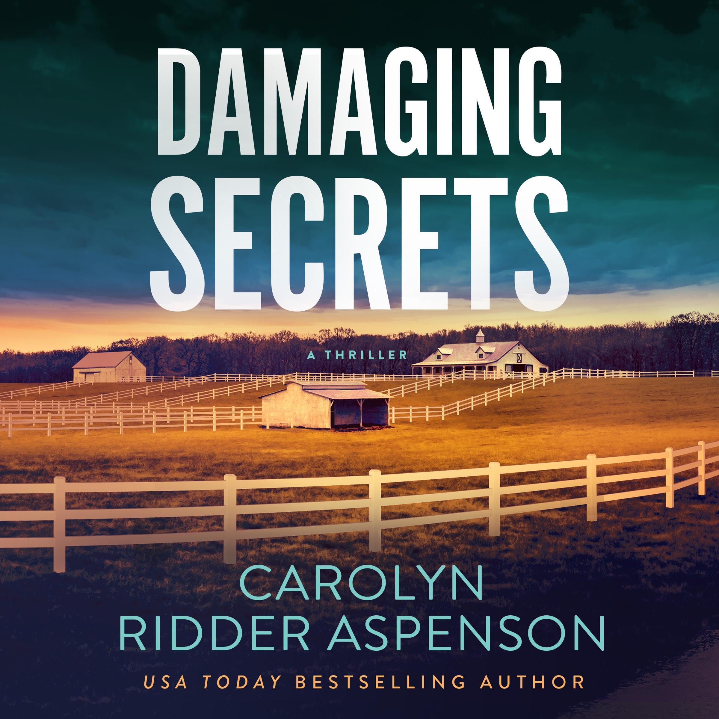Cover art for Damaging Secrets