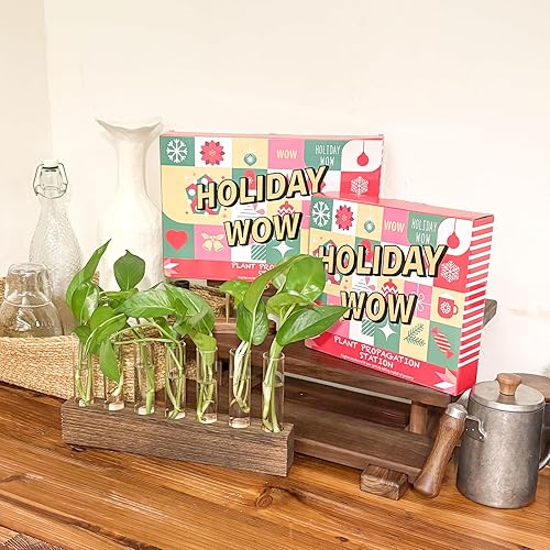 Miniatura 2 de KAXYEW Estación de Propagación de Plantas de Escritorio de Vidrio con Tubo de Ensayo, Terrario de Plantas en Soporte de Madera para Plantas