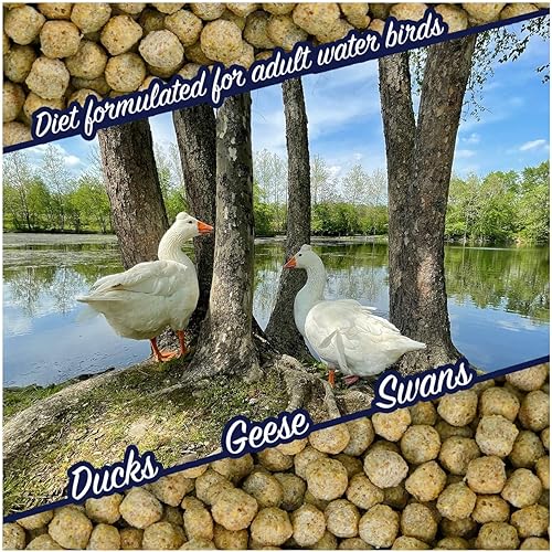 Miniatura 4 de Natural Waterscapes Alimento flotante para aves acuáticas (5 libras) | para patos salvajes, patos de mascotas, gansos, cisnes