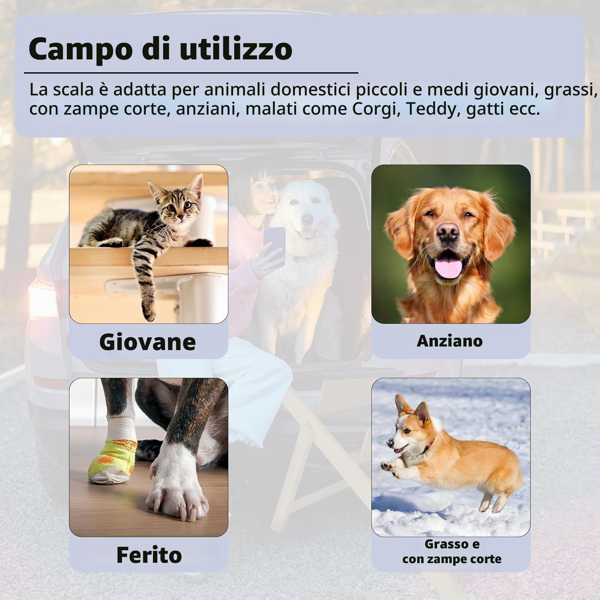 ACXIN Scala 2 in 1 per animali domestici, rampa per cani e cani di piccola taglia