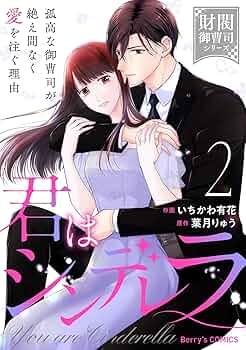 君はシンデレラ～孤高な御曹司が絶え間なく愛を注ぐ理由～【財閥御曹司シリーズ】 1 comic Berry's君はシンデレラ～孤高な御曹司が絶え間なく愛を