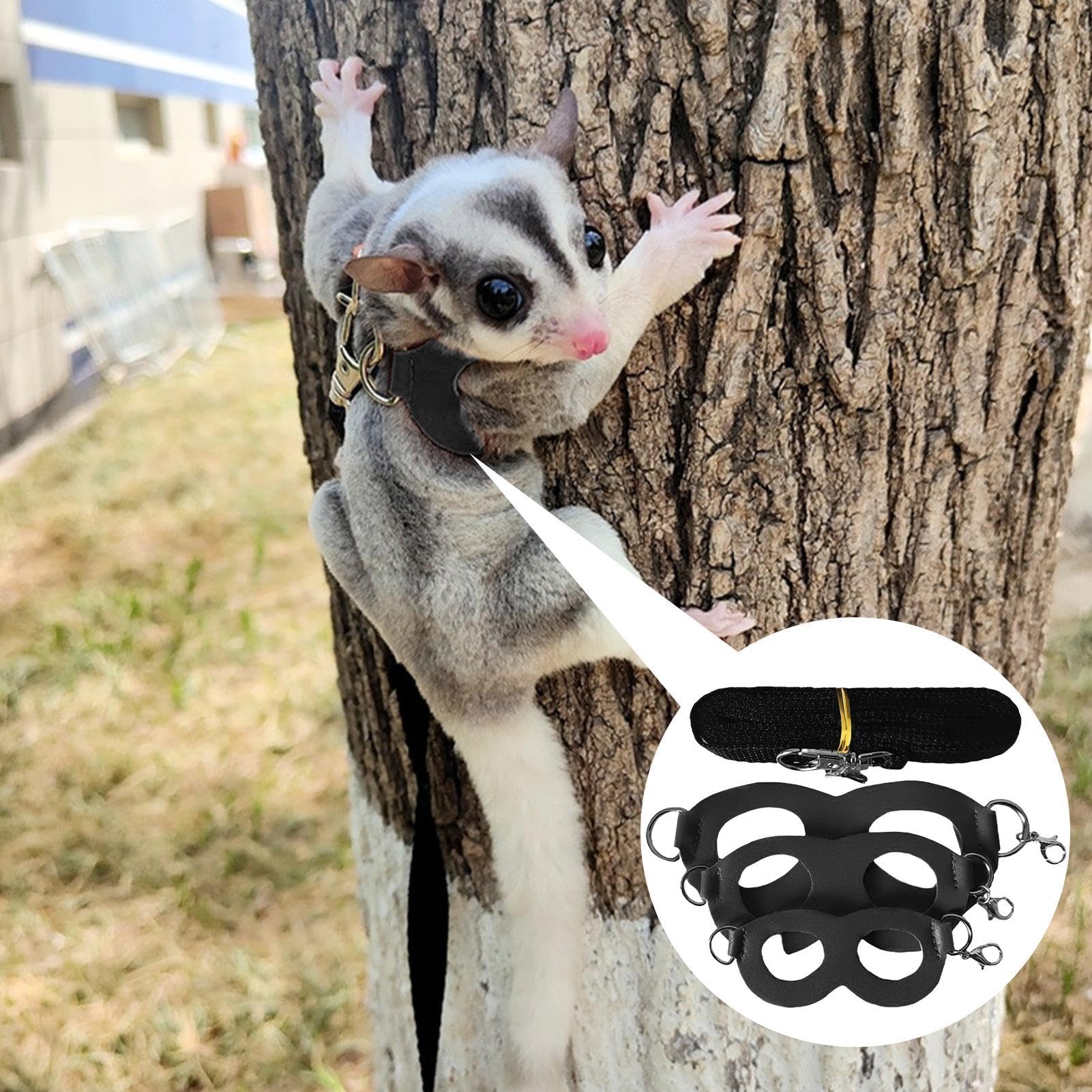 Amazon | フクロモモンガ 牽引ロープ モモンガ ハーネス リードセット