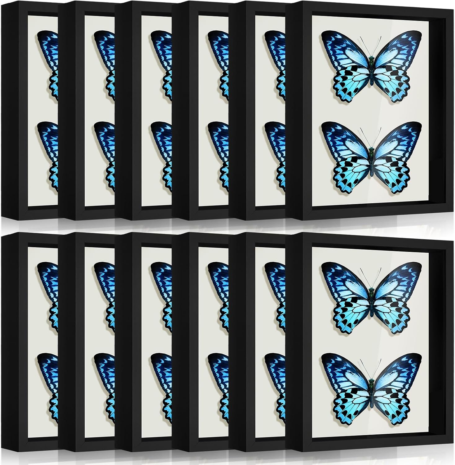 Tuanse 12 Pcs Shadow Box Bulk Display Case Plastic Shadow