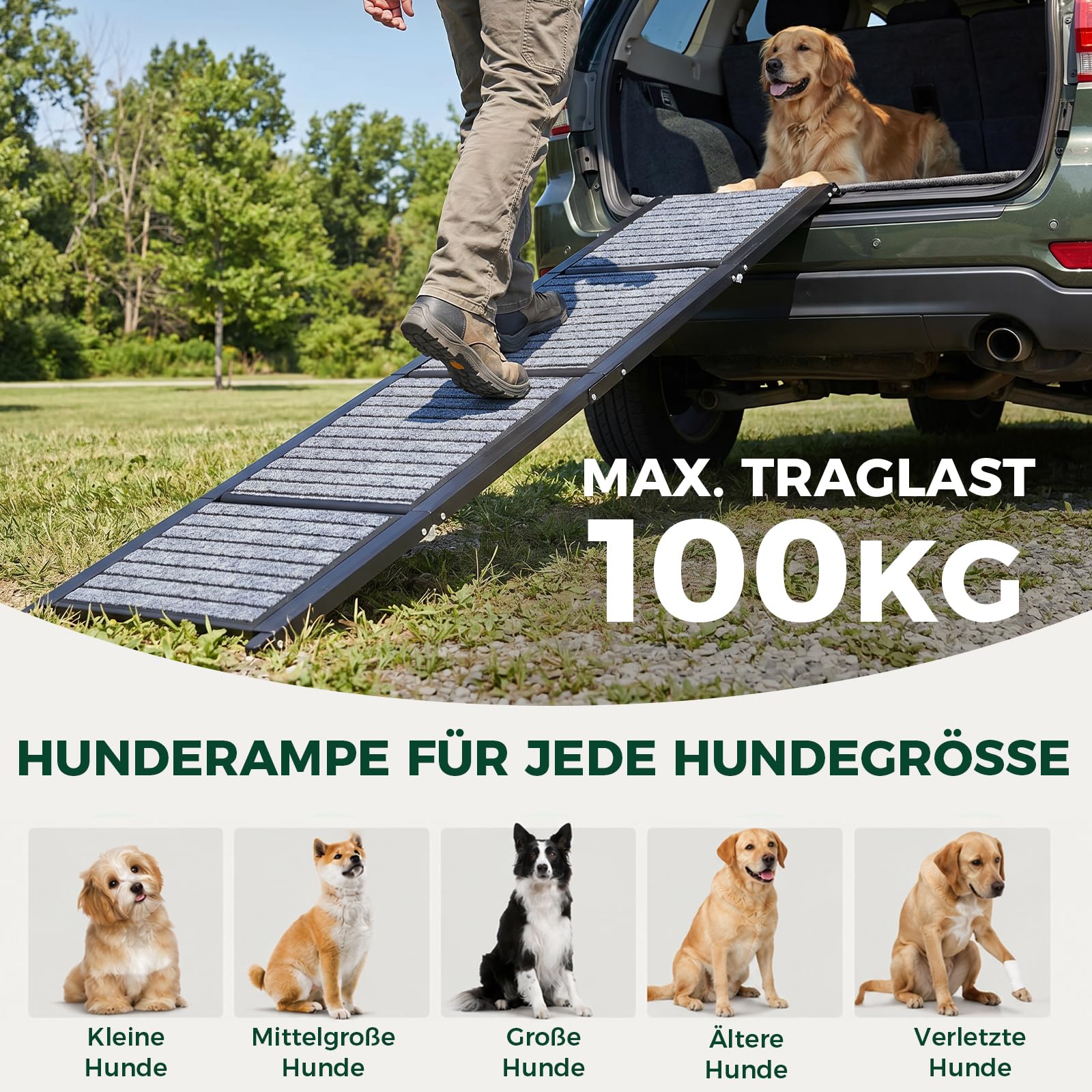 170 cm Extra Lange Hunderampe Auto Klappbar, rutschfeste Hundetreppe Auto mit Griffiger Teppichoberfläche, Stabile Aluminiumrampe für Große und Mittelgroße Hunde bis 110 kg, für SUV, Auto und LKW