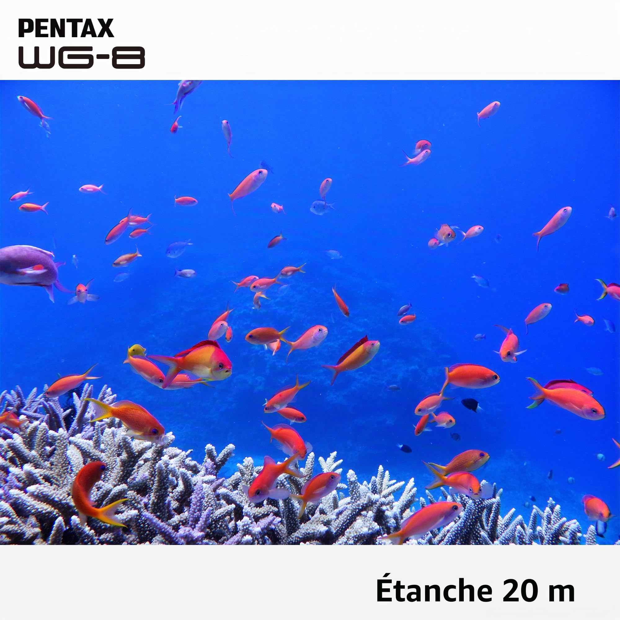 PENTAX Compact étanche WG-8 Noir