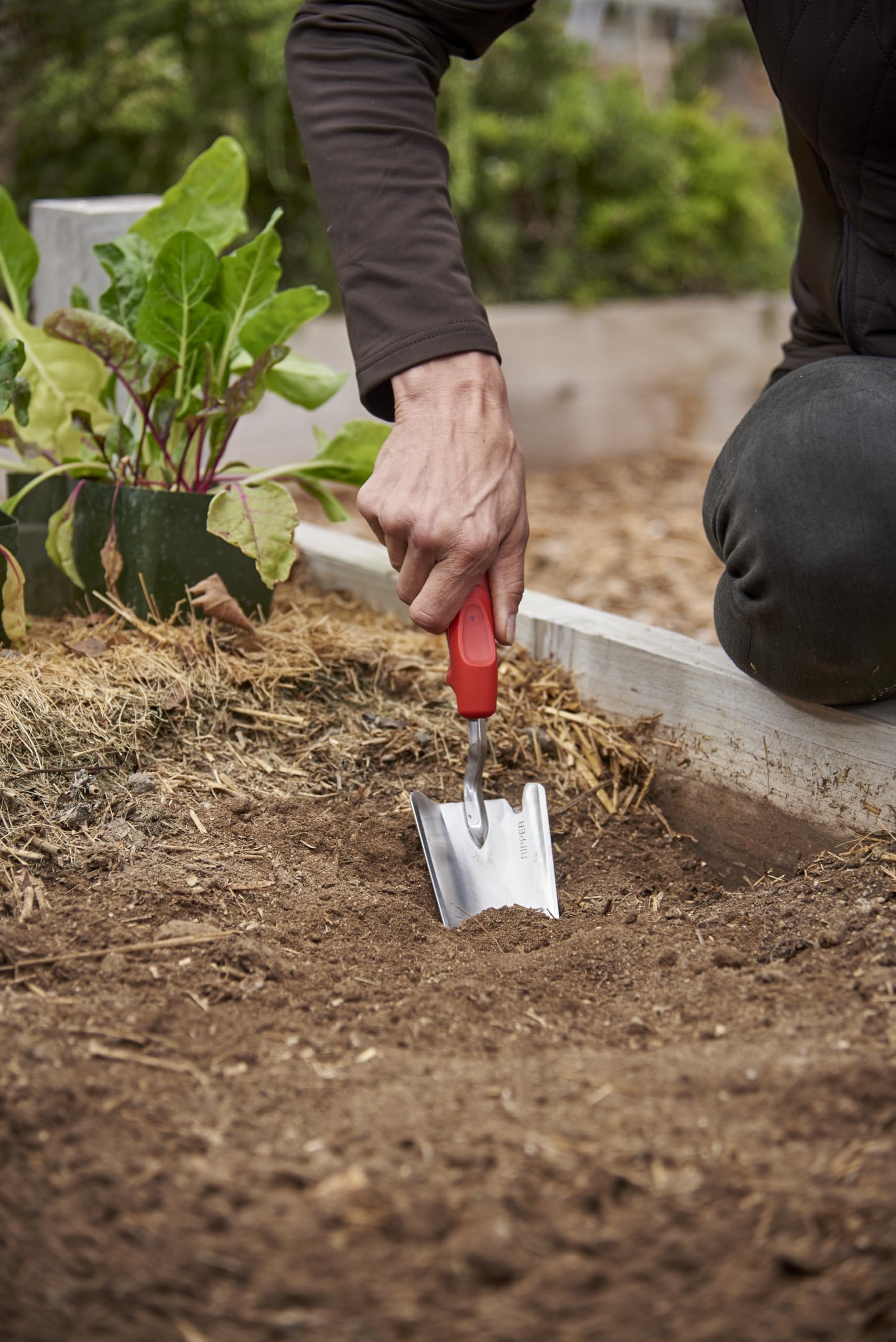 Corona Garden Trowel - Stainless Steel ComfortGEL -6