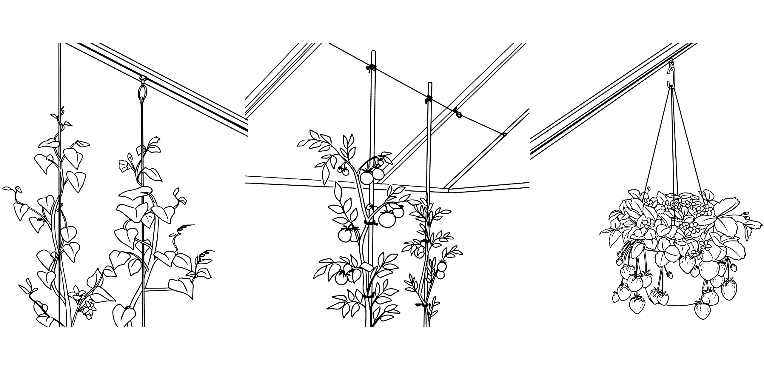 Lot De 20 Boulons Et Anneaux De Serre - Tête Courte En Aluminium + Inox - Pour Ancrages Suspendus Et Plantes Grimpantes
