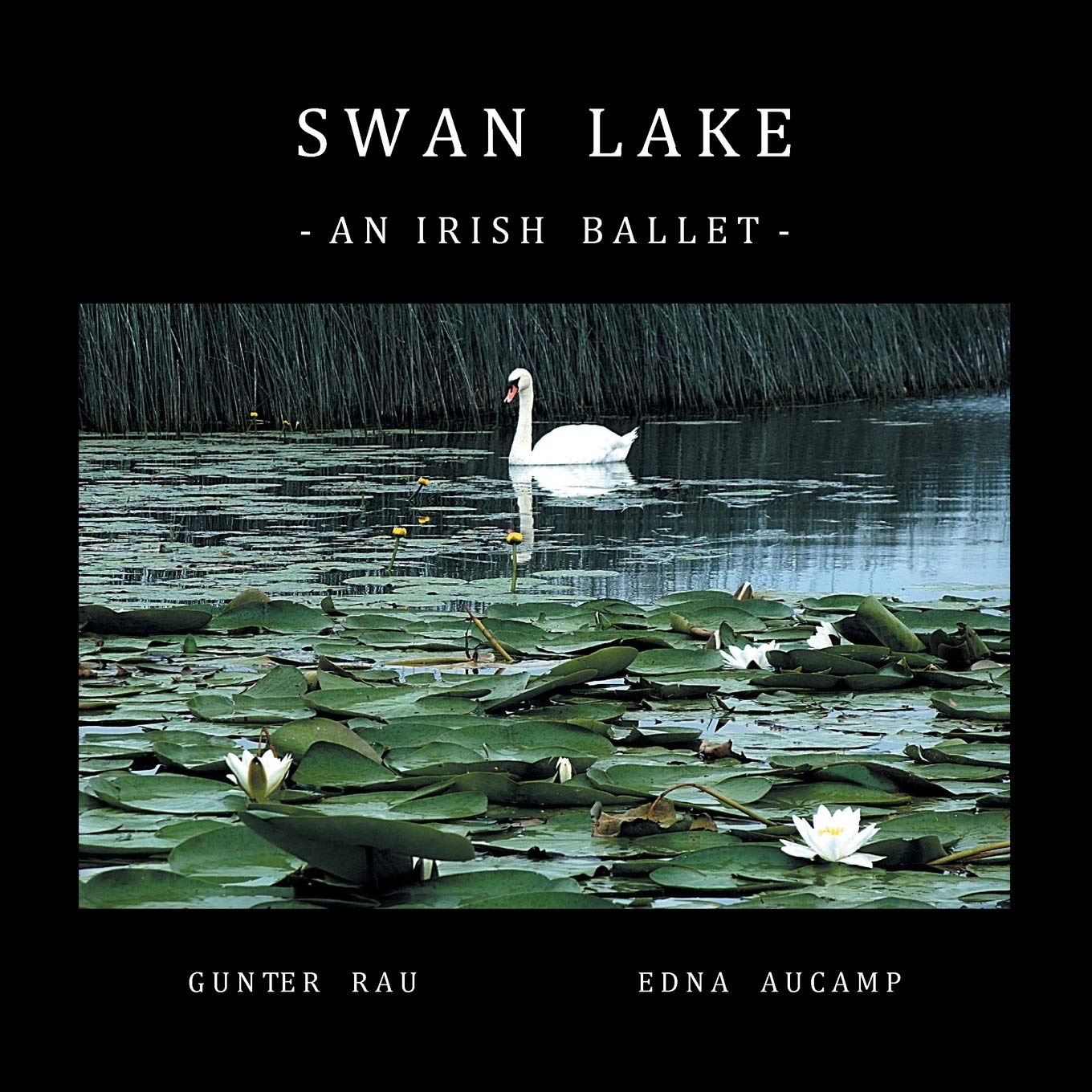 Swan Lake: An Irish Ballet