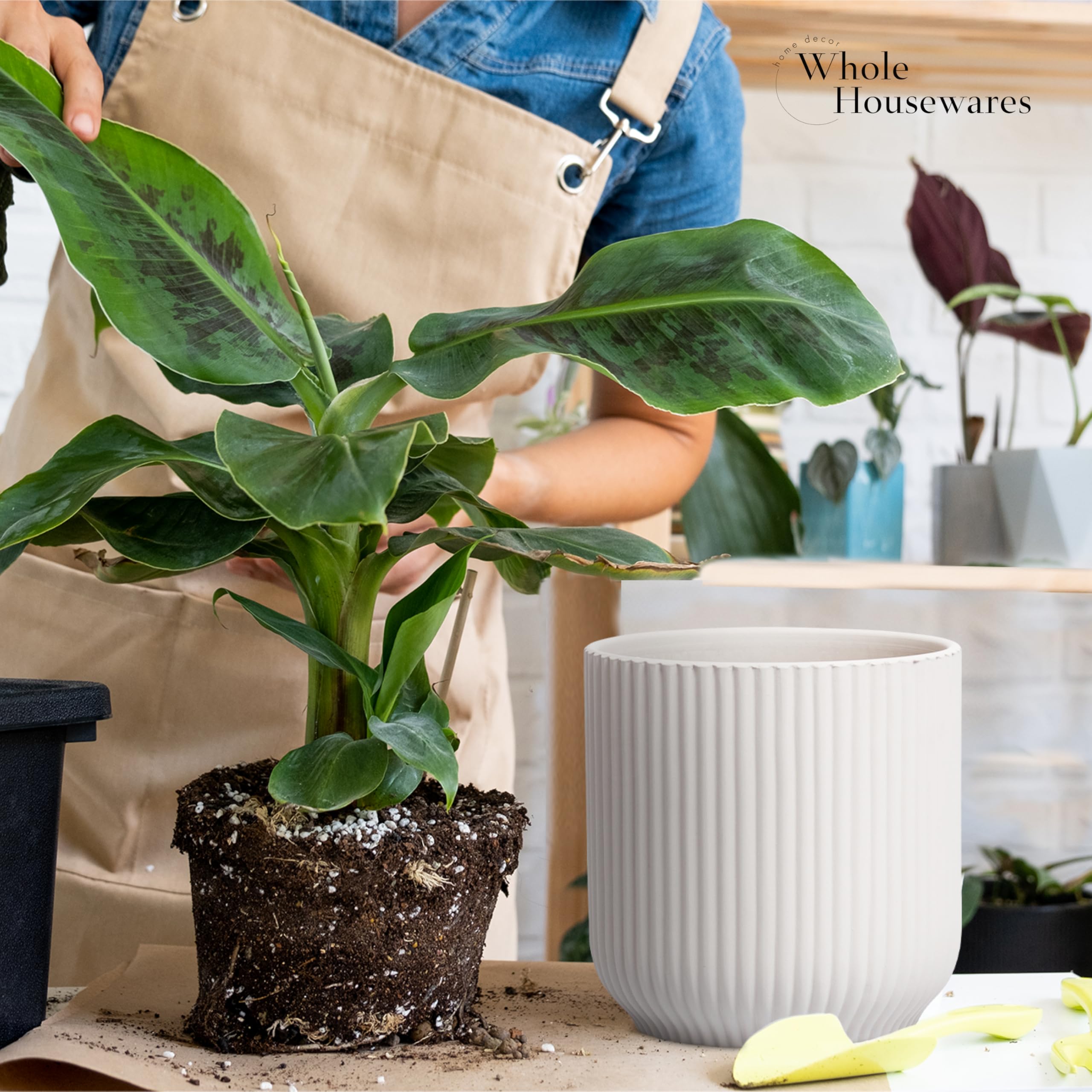 WHOLE HOUSEWARES Keramiktöpfe für Pflanzen mit Entwässerungslöchern, elegante moderne Pflanzgefäße mit Luftzirkulation zur Wurzelfäuleprävention, kleine Pflanzgefäße für Innen- und Außenpflanzen, 14