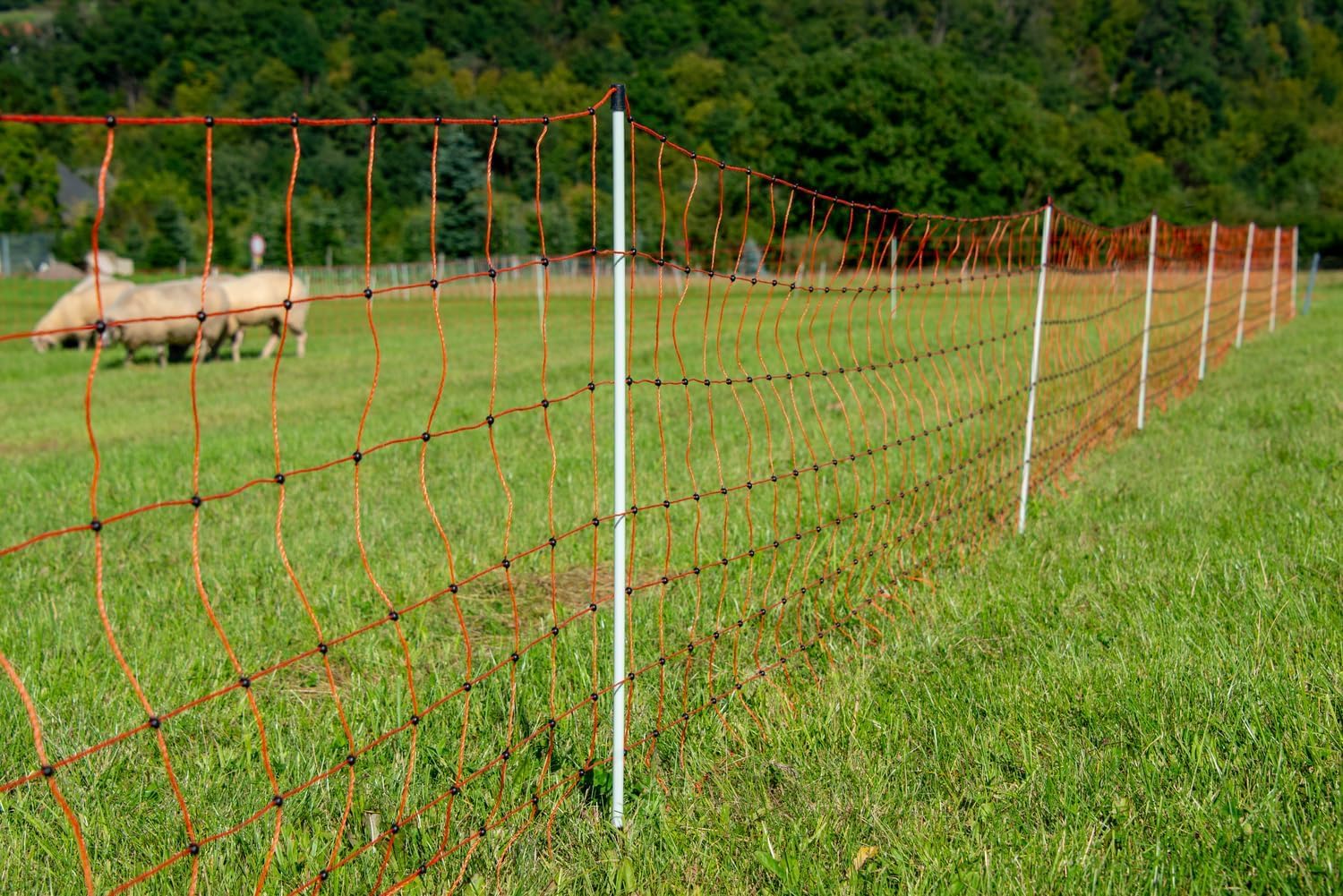 horizont easyLine Schafzaun 50m – 90cm hoch, Weidezaun Schafe, Elektrozaun