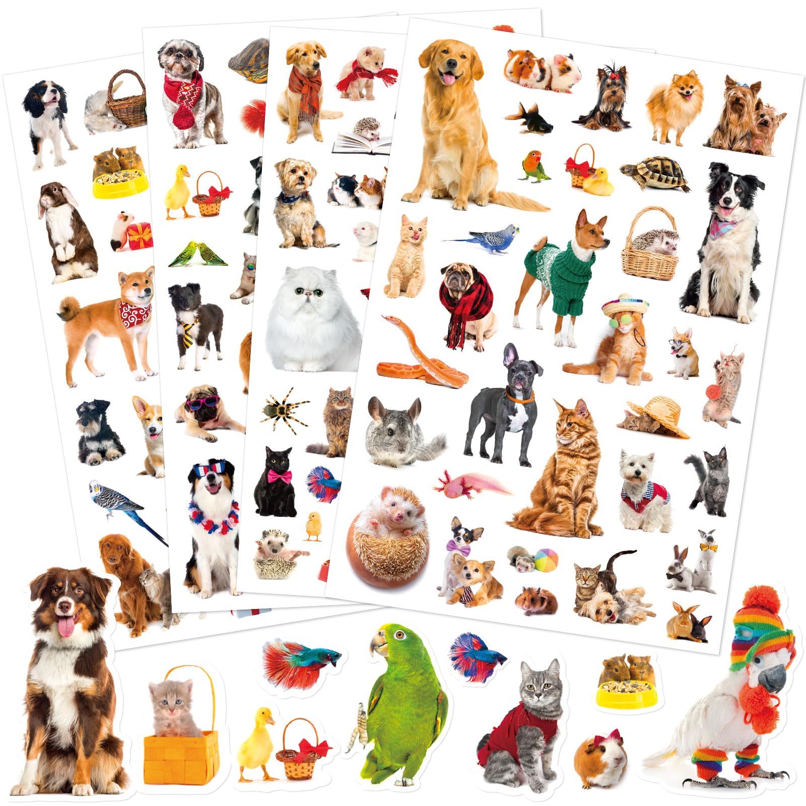 FindFunFine Pet Animals Stickers 790+ Animal Adhesive Stickers Dog Cat Pet Rabbit Parrot Fish Decal Party Favors Gifts Decor for Scrapbook Calendar Planner Gift Wrap Decor